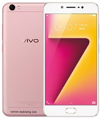 vivo Y25 Mobile Phone